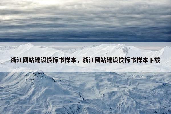 浙江网站建设投标书样本，浙江网站建设投标书样本下载