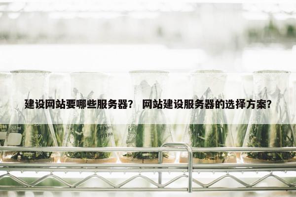 建设网站要哪些服务器？ 网站建设服务器的选择方案？
