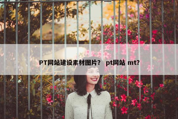 PT网站建设素材图片？ pt网站 mt？