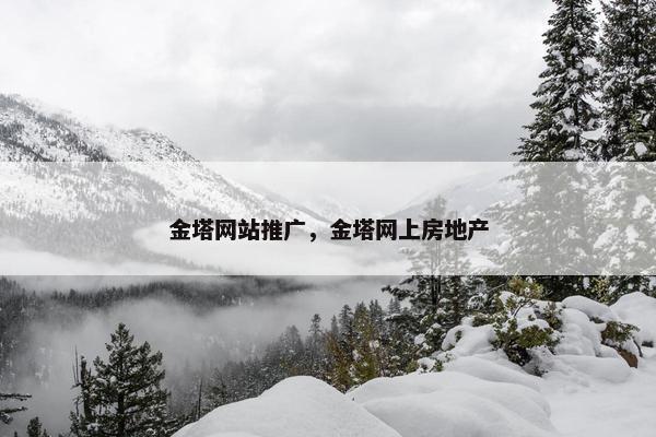 金塔网站推广，金塔网上房地产
