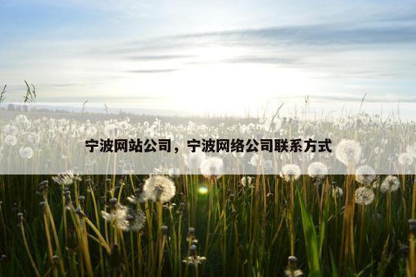 宁波网站公司，宁波网络公司联系方式