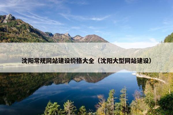 沈阳常规网站建设价格大全（沈阳大型网站建设）