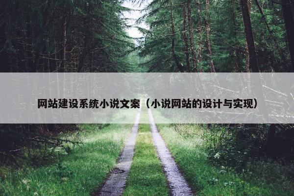 网站建设系统小说文案（小说网站的设计与实现）
