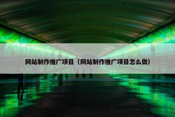 网站制作推广项目（网站制作推广项目怎么做）