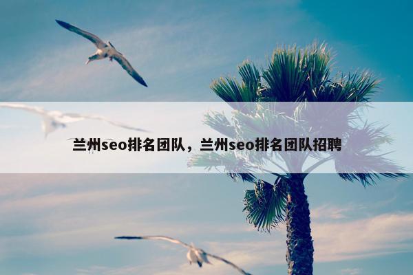 兰州seo排名团队，兰州seo排名团队招聘