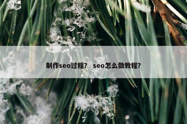 制作seo过程？ seo怎么做教程？
