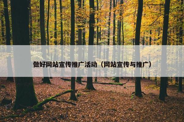 做好网站宣传推广活动（网站宣传与推广）