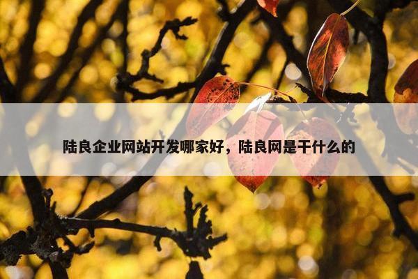 陆良企业网站开发哪家好，陆良网是干什么的