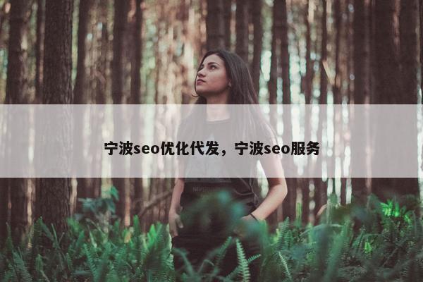宁波seo优化代发，宁波seo服务