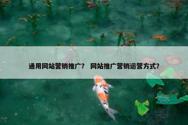 通用网站营销推广？ 网站推广营销运营方式？