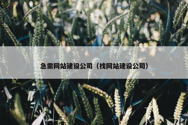 急需网站建设公司（找网站建设公司）