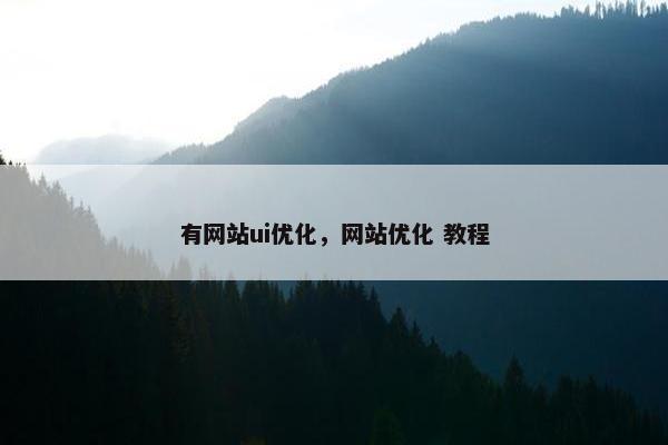 有网站ui优化，网站优化 教程