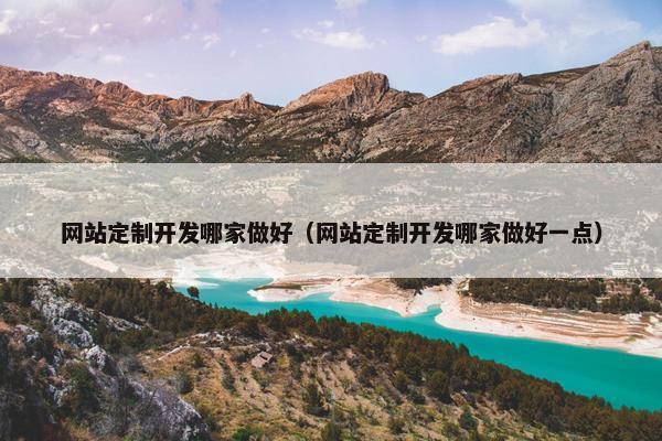 网站定制开发哪家做好（网站定制开发哪家做好一点）