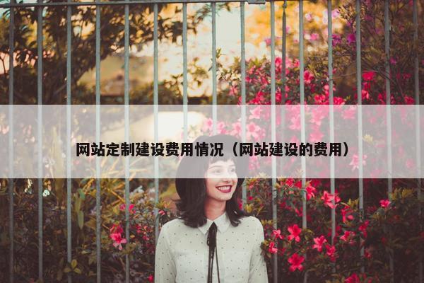 网站定制建设费用情况（网站建设的费用）