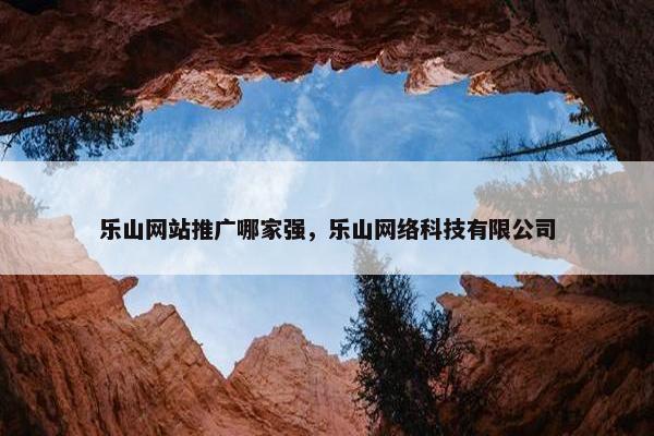 乐山网站推广哪家强，乐山网络科技有限公司