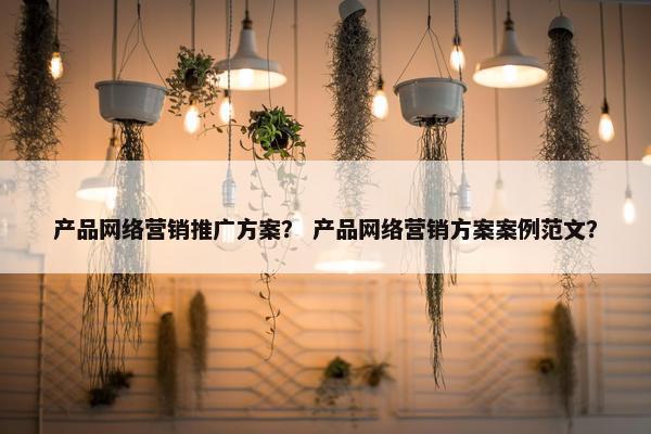 产品网络营销推广方案？ 产品网络营销方案案例范文？