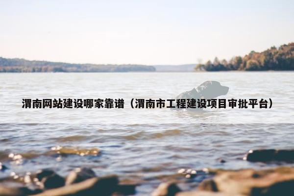渭南网站建设哪家靠谱（渭南市工程建设项目审批平台）