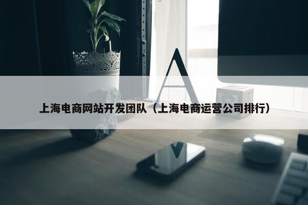 上海电商网站开发团队（上海电商运营公司排行）
