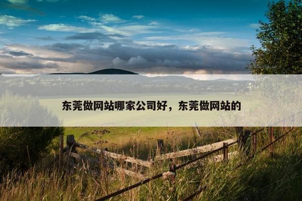 东莞做网站哪家公司好，东莞做网站的