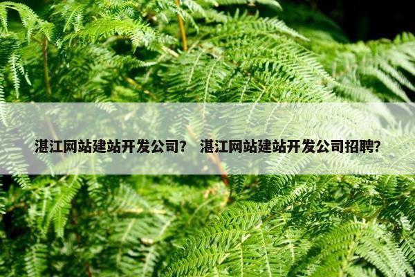 湛江网站建站开发公司？ 湛江网站建站开发公司招聘？