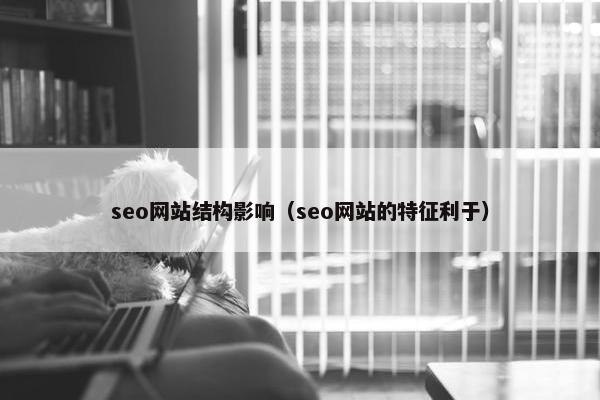 seo网站结构影响（seo网站的特征利于）