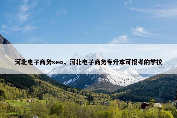 河北电子商务seo，河北电子商务专升本可报考的学校