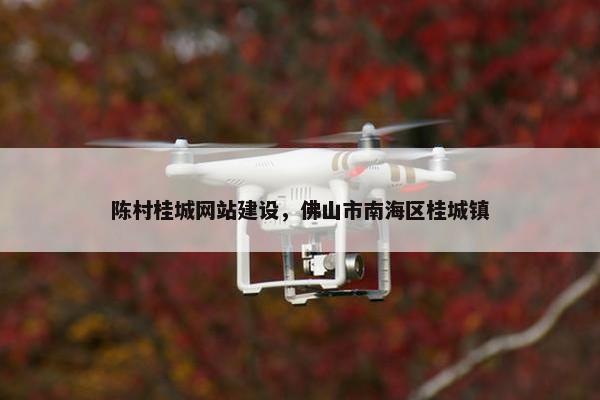 陈村桂城网站建设，佛山市南海区桂城镇