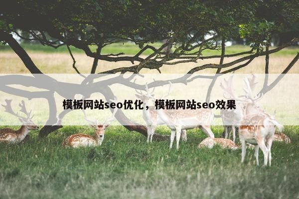 模板网站seo优化，模板网站seo效果