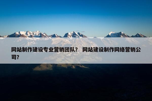 网站制作建设专业营销团队？ 网站建设制作网络营销公司？