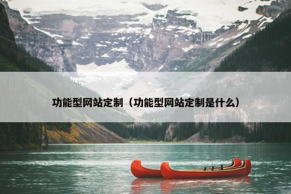 功能型网站定制（功能型网站定制是什么）