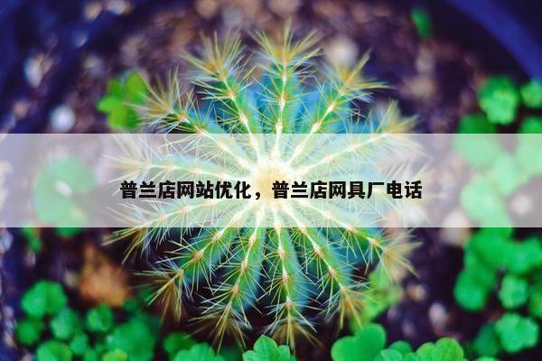 普兰店网站优化，普兰店网具厂电话