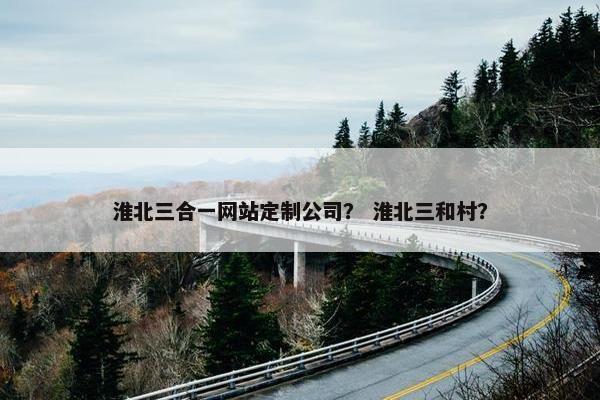 淮北三合一网站定制公司？ 淮北三和村？