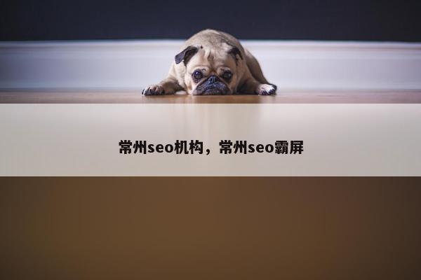 常州seo机构，常州seo霸屏
