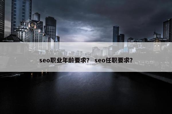 seo职业年龄要求？ seo任职要求？