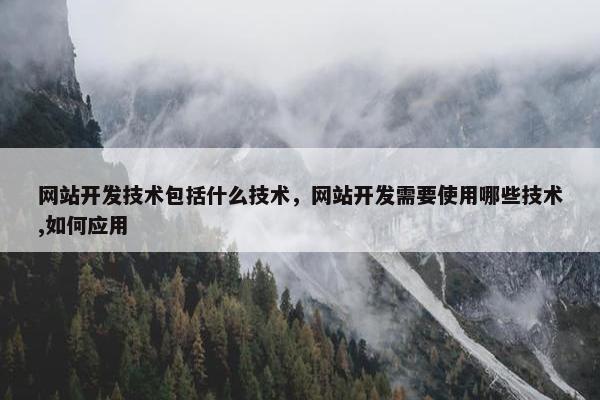 网站开发技术包括什么技术，网站开发需要使用哪些技术,如何应用