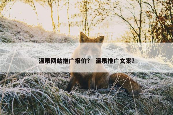 温泉网站推广报价？ 温泉推广文案？