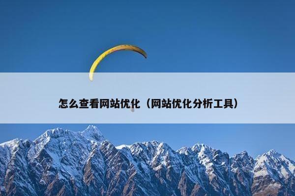怎么查看网站优化（网站优化分析工具）
