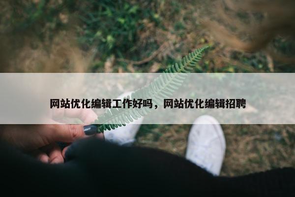 网站优化编辑工作好吗，网站优化编辑招聘
