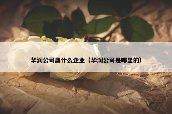 华润公司属什么企业（华润公司是哪里的）