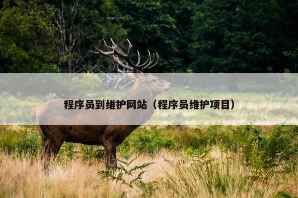 程序员到维护网站（程序员维护项目）