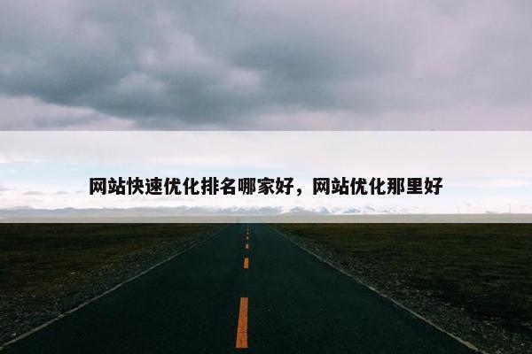 网站快速优化排名哪家好，网站优化那里好