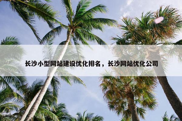 长沙小型网站建设优化排名，长沙网站优化公司