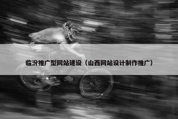 临汾推广型网站建设（山西网站设计制作推广）