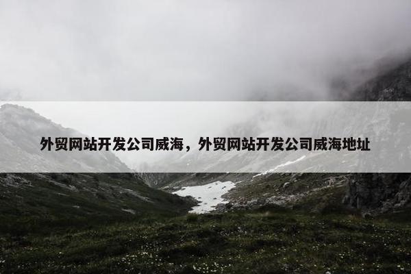 外贸网站开发公司威海，外贸网站开发公司威海地址
