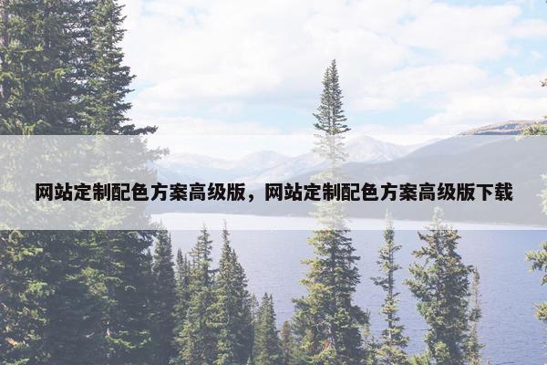 网站定制配色方案高级版，网站定制配色方案高级版下载