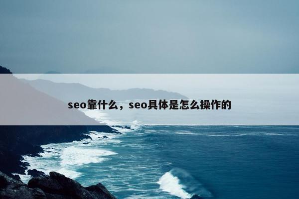 seo靠什么，seo具体是怎么操作的