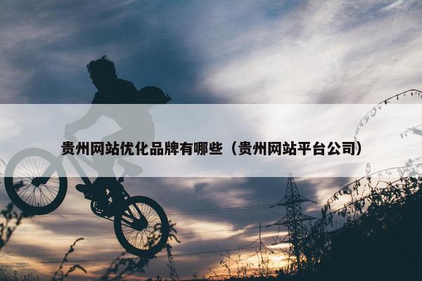 贵州网站优化品牌有哪些（贵州网站平台公司）