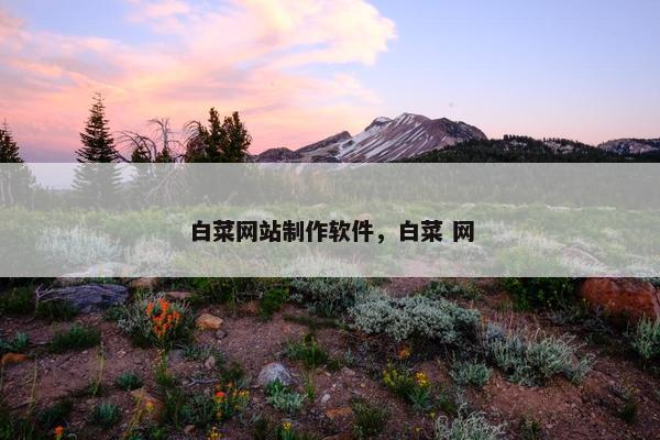 白菜网站制作软件，白菜 网