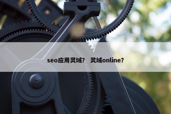seo应用灵域？ 灵域online？