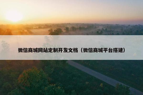 微信商城网站定制开发文档（微信商城平台搭建）